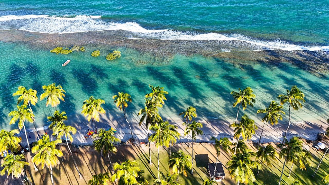 Vista aérea do recife e do coqueiral de Carneiros em agosto